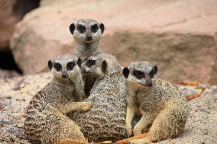 Zoo Magdeburg