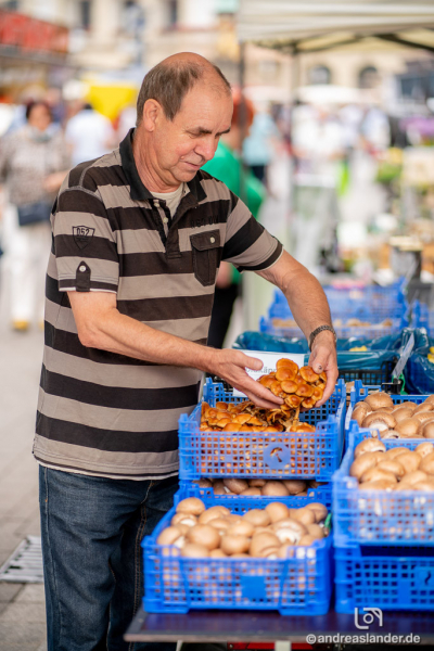 MMKT-Markt-Magdeburg_2021-07-22_034_Foto_Andreas_Lander